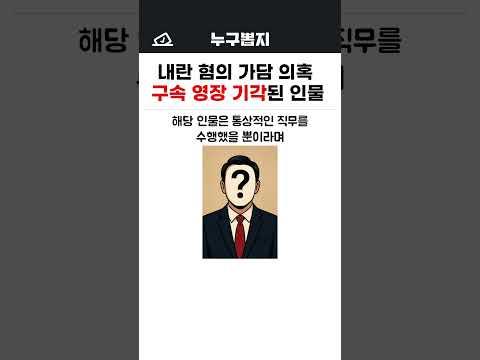 내란 혐의 가담 의혹 구속 영장 기각된 인물